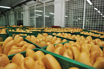 白色食品 餐桌上的純凈與健康